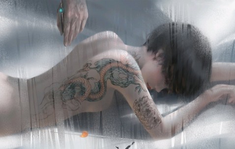 深入解析，不伴不典型子宫内膜增生的含义与影响